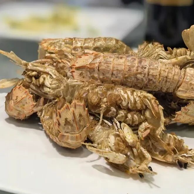 游遍中國，飛向世界，巨天第11站——共赴大海之濱