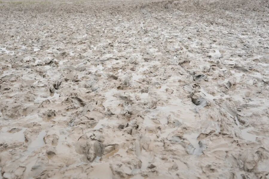 游遍中國，飛向世界，巨天第11站——共赴大海之濱