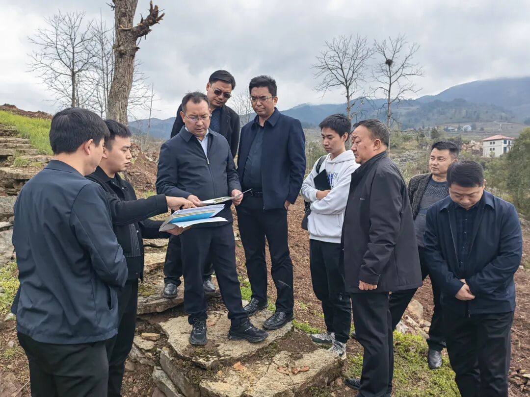78783月19日(周二),县委副书记,县长曾奕辉到本庄镇调研指导产业