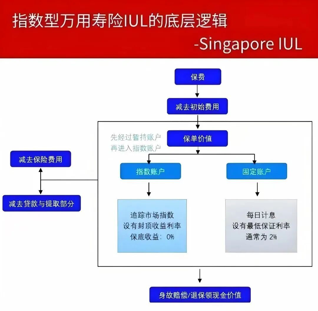 新加坡IUL，高净值人士的财富“避风港” - 脉脉