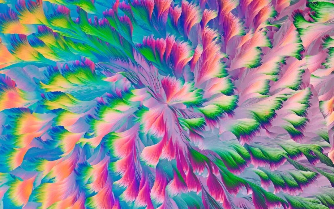 EVIDENT第五屆全球顯微圖像大賽獲獎(jiǎng)作品揭曉