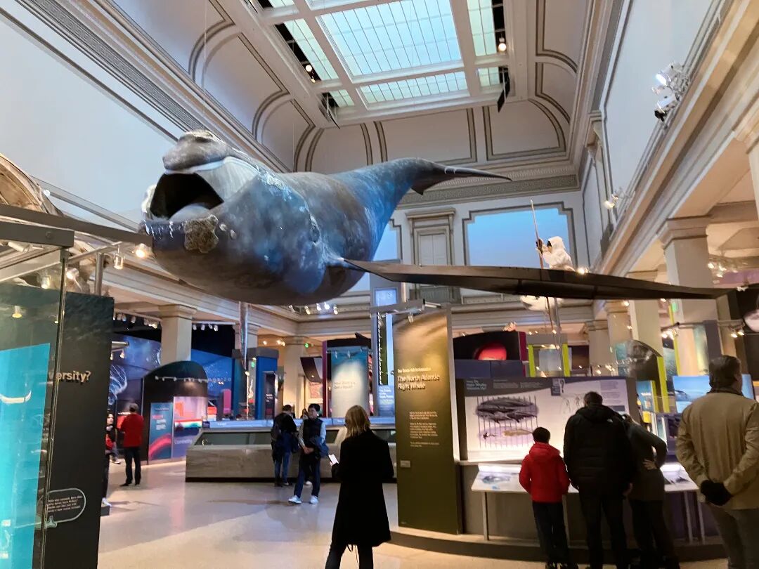 微信图片_20241024152530