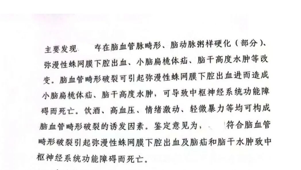 男子被打还手致人死亡
