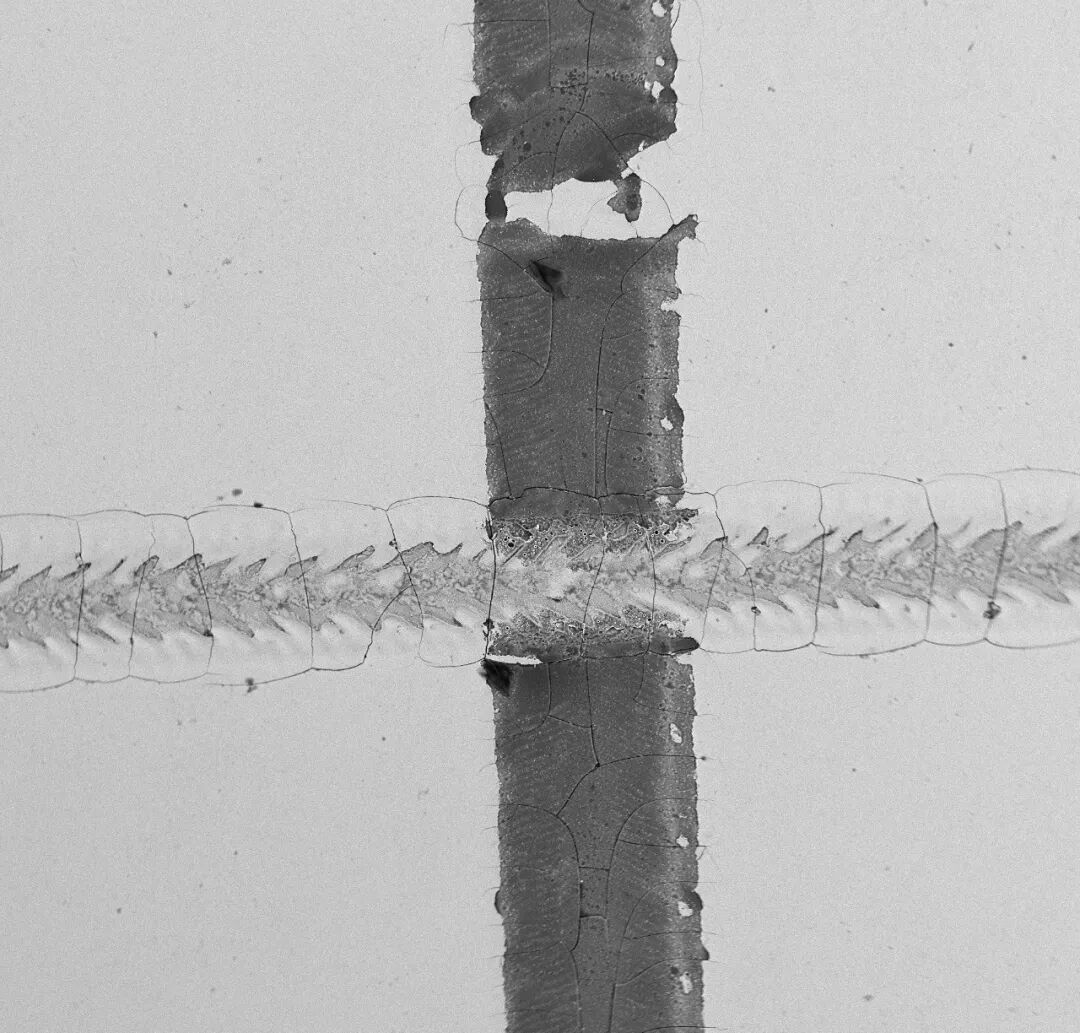 材料疲劳与裂纹：从宏观裂缝到微观起源