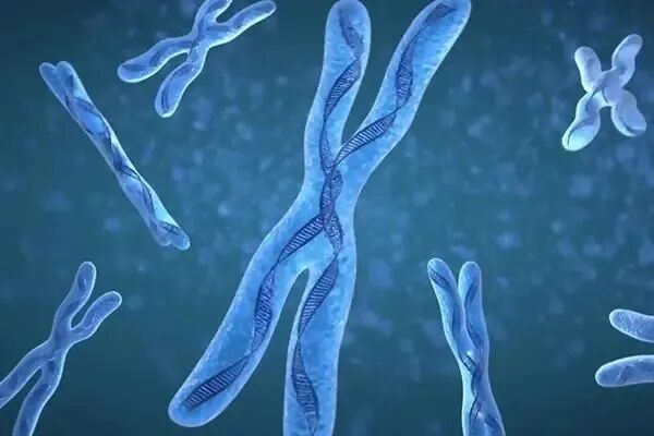 试管成不成，还得看这两个因素！