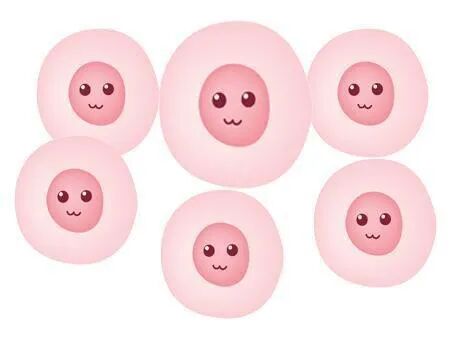 抗心磷脂抗体阳性对试管助孕有什么影响？