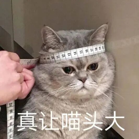 影响生育力的疾病，可致不孕症发病率增加20倍！