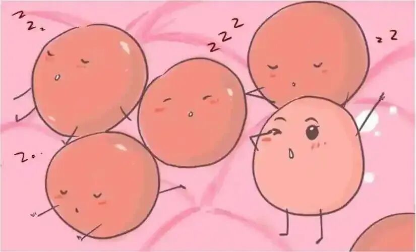 试管婴儿的五个常见误区，备孕家庭要了解清楚！