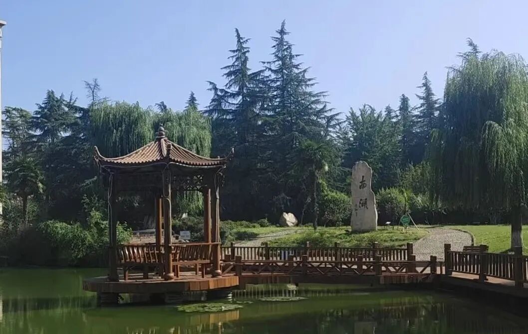 妈妈亲手打造的草坪婚礼