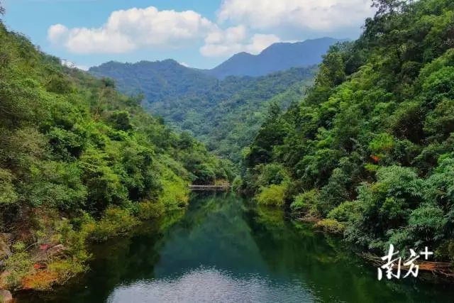 海丰莲花山门票图片