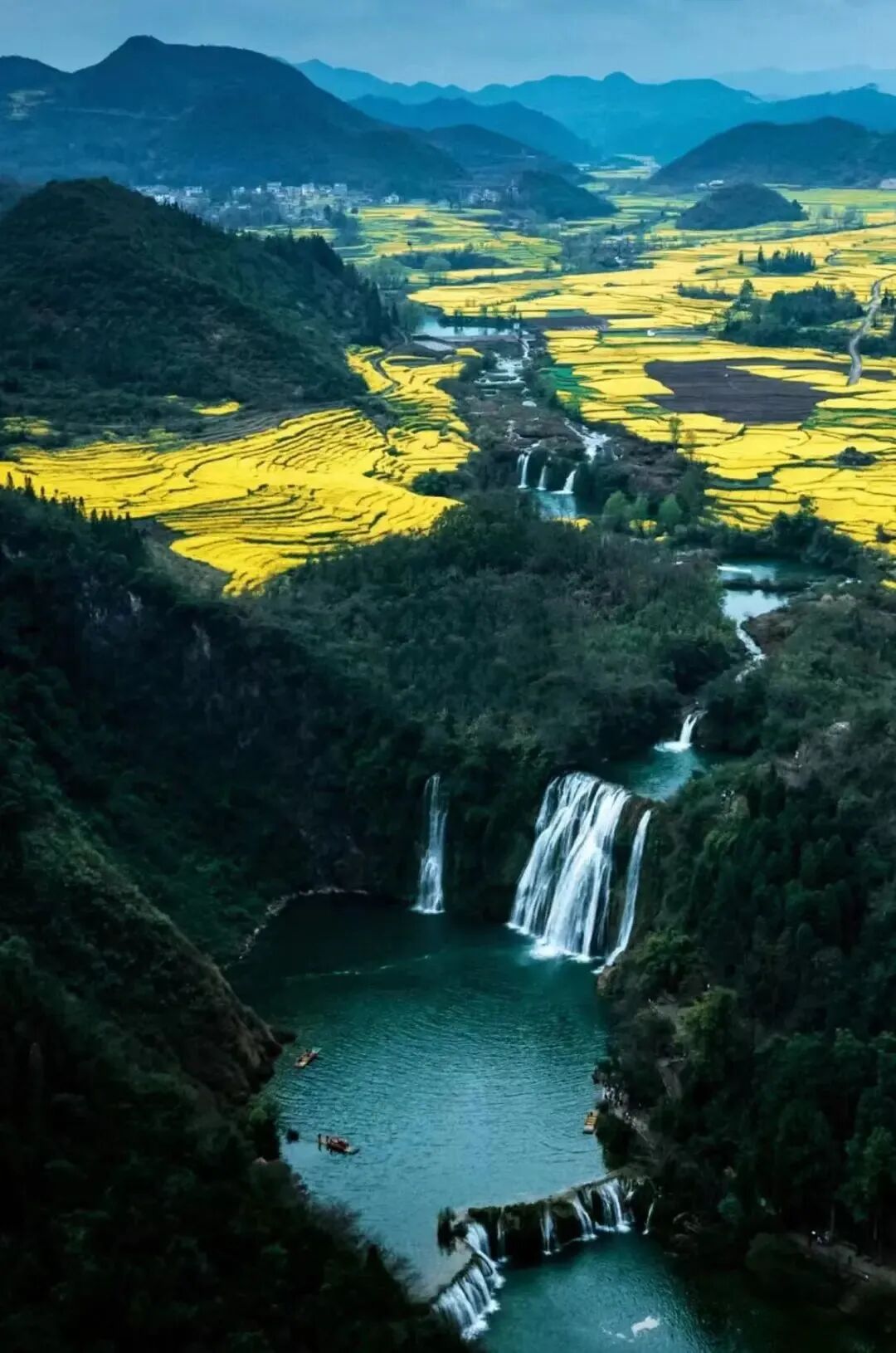 国内最早上春山的绝美避世小城花海惊艳外网