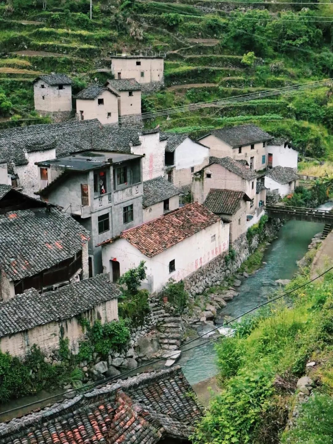 去看海吧阿紫在村裡隨處逛逛,就能遇見一座座三合院或四合院,其中塗