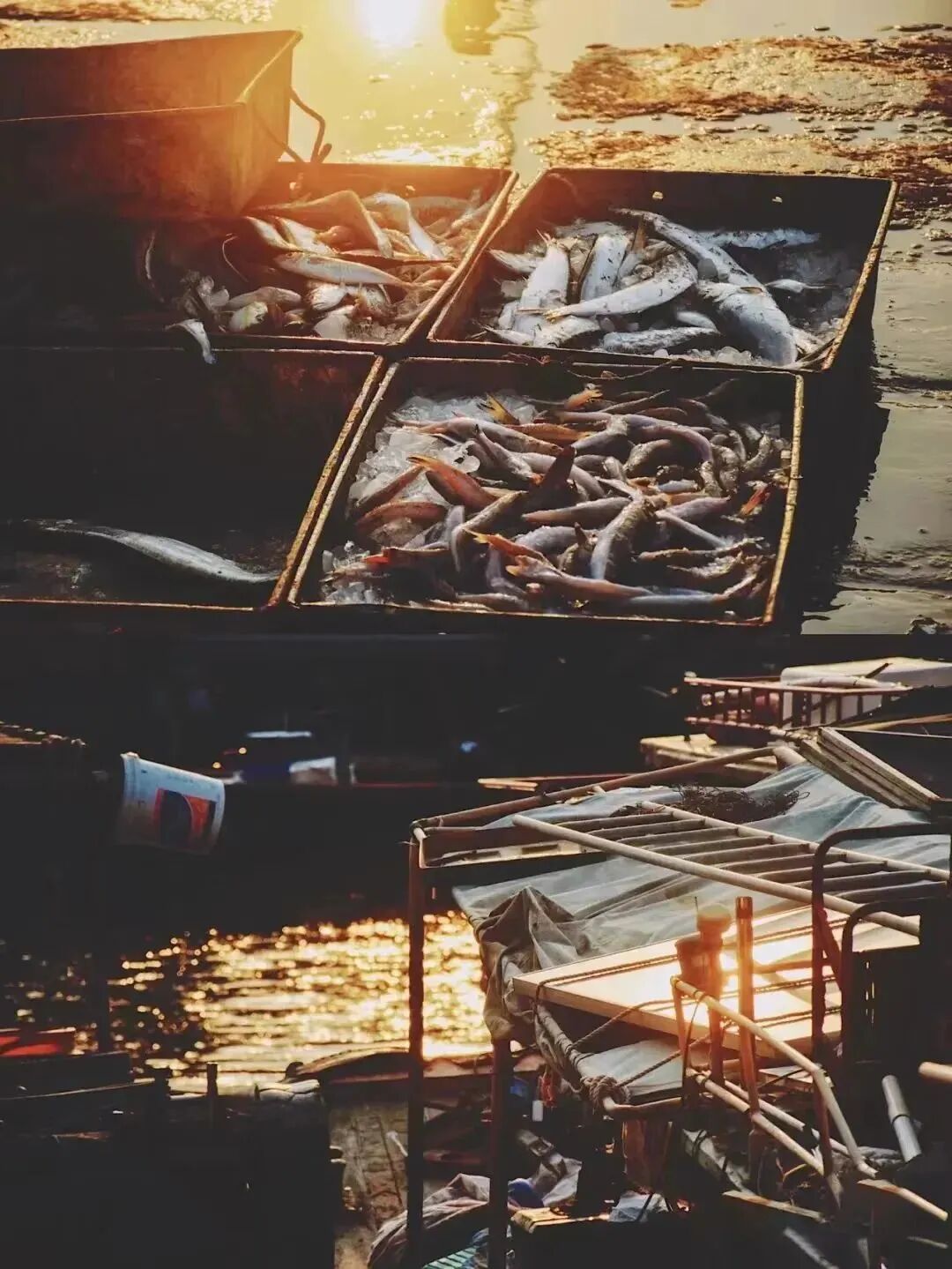 自带"薄荷蓝"的县城,海岛不输垦丁,梭子蟹全国最好吃