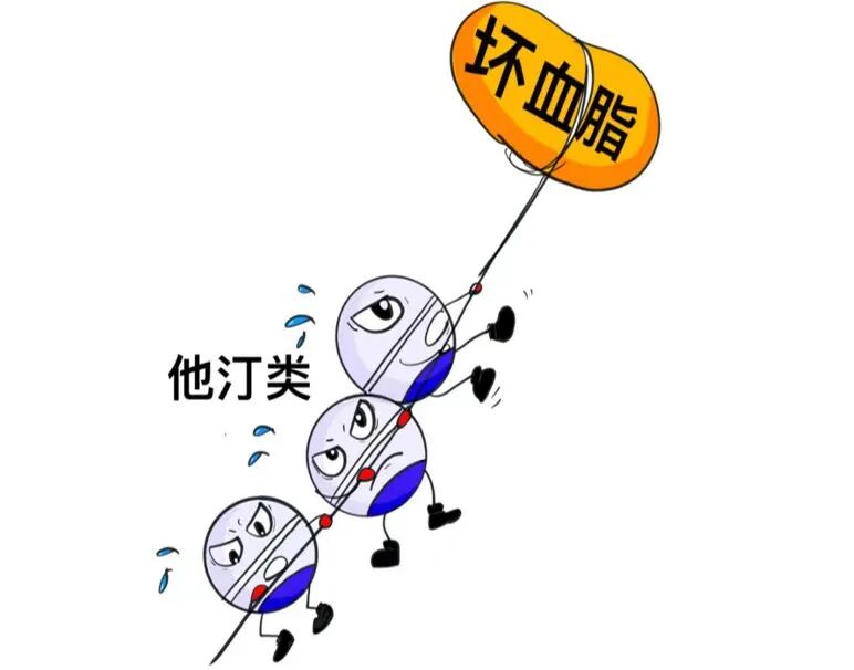 药师说用药∣他汀类降脂药物的合理选用与安全提示