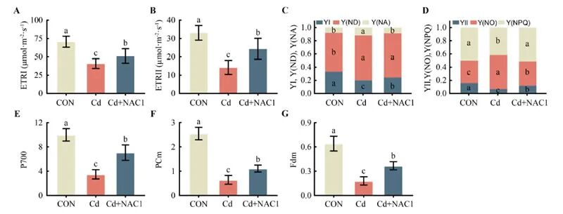 @2 2025-Yu-Scientia Horticulturae-2.jpg