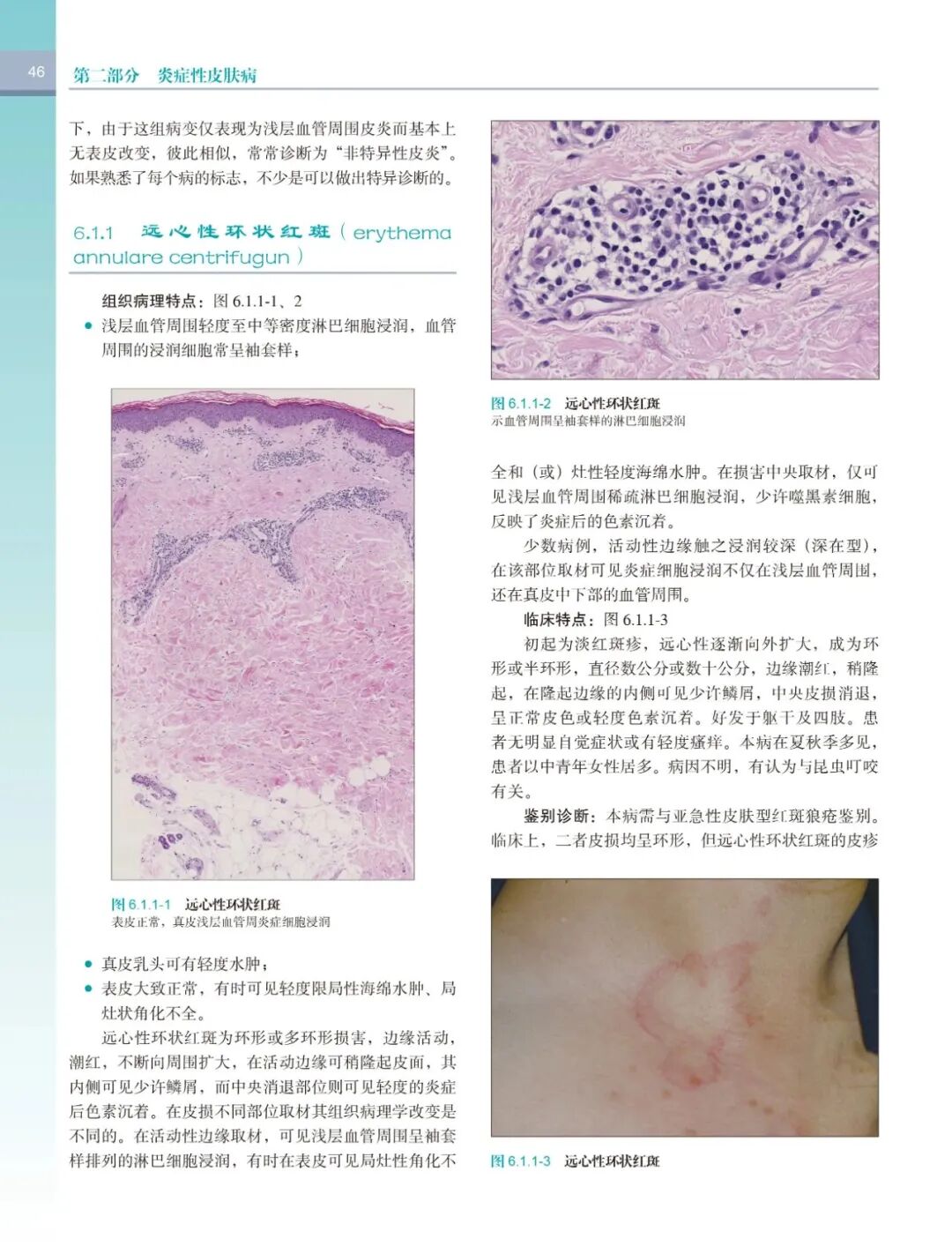 荐书 | 《皮肤病的组织病理学诊断(第4版)》