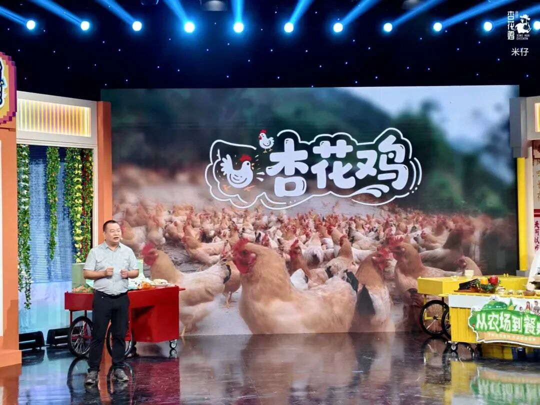 曾华介绍杏花鸡。采访对象供图