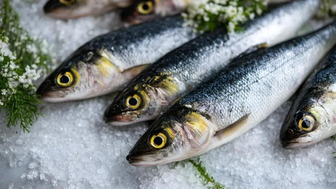 成都值得一去的8个批发市场！金牛有这两个→插图5