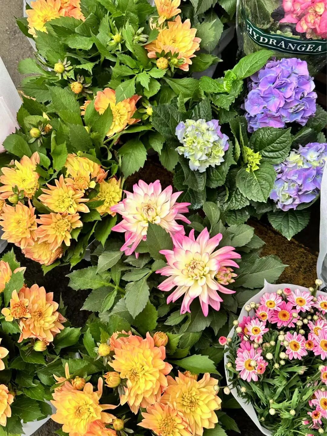 成都值得一去的8个批发市场！金牛有这两个→插图6