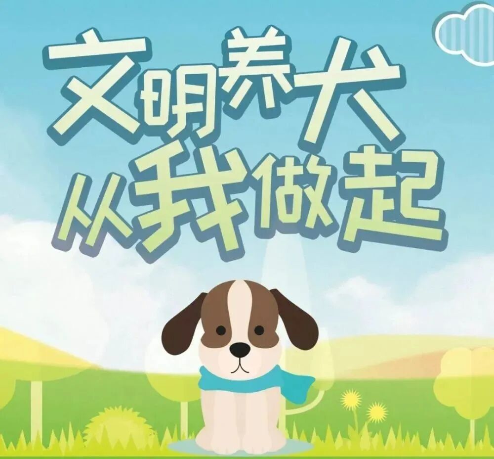 「文明孟连」小细节大文明 爱宠从小事做起