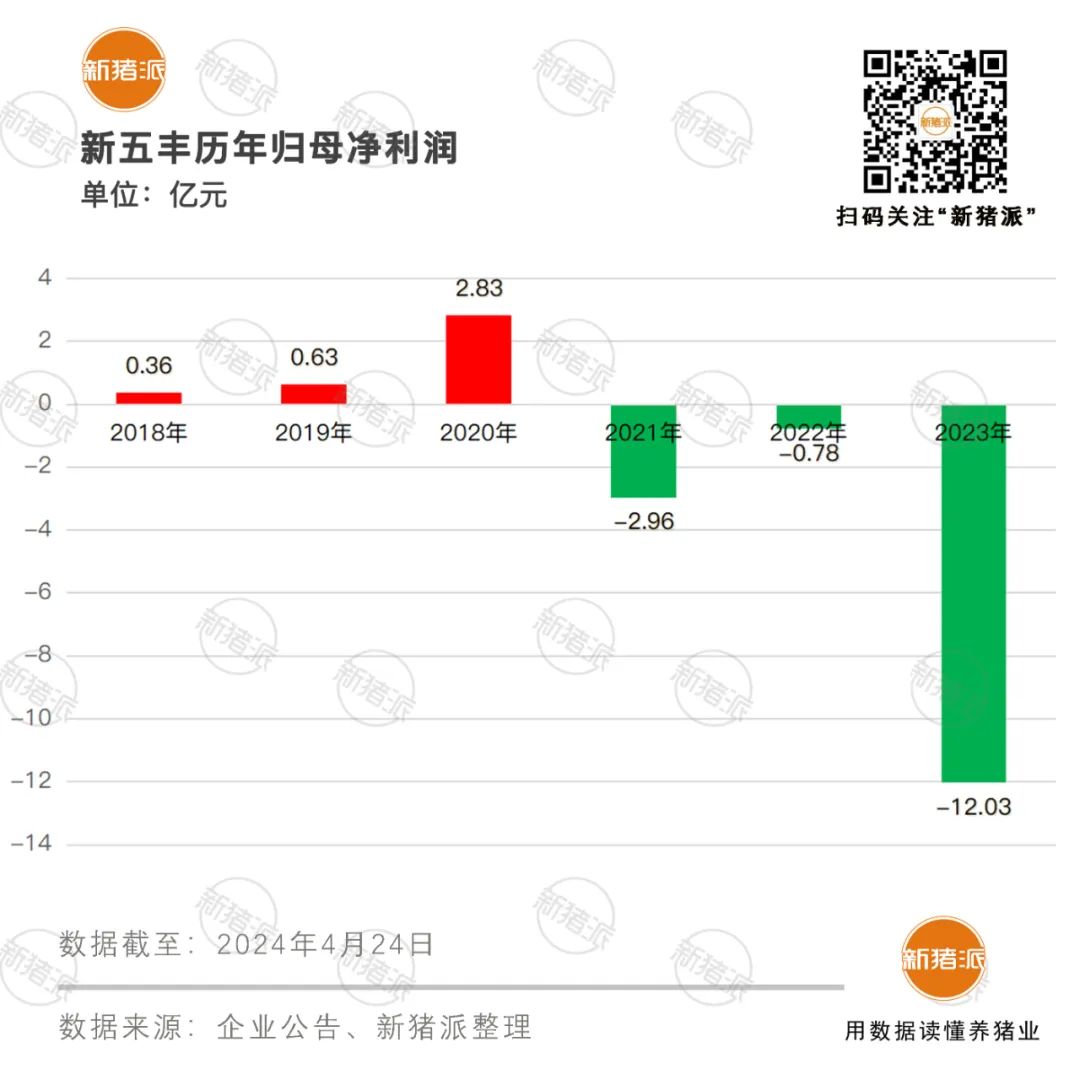 2024年05月17日 新五丰股票