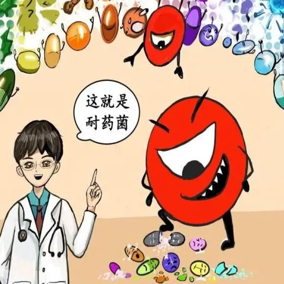 【2024年卫生健康宣传日】世界提高抗微生物药物认识周——教育，倡导，立即行动，附：宣传视频