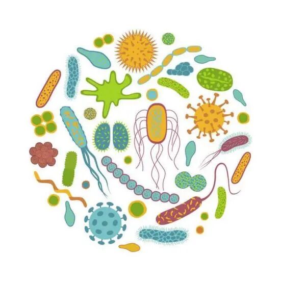 【2024年卫生健康宣传日】世界提高抗微生物药物认识周——教育，倡导，立即行动，附：宣传视频