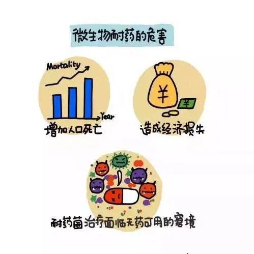 【2024年卫生健康宣传日】世界提高抗微生物药物认识周——教育，倡导，立即行动，附：宣传视频