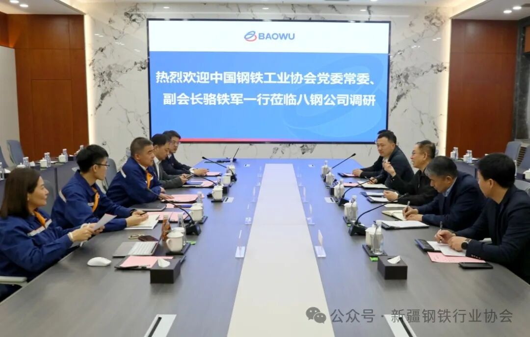 中国钢铁工业协会党委常委、副会长骆铁军一行来八钢走访调研(图2)