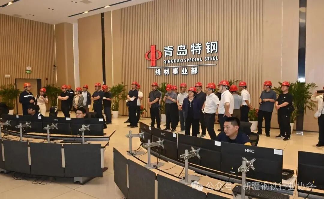 2025年地方钢铁行业协会负责人座谈会在青岛召开(图9)