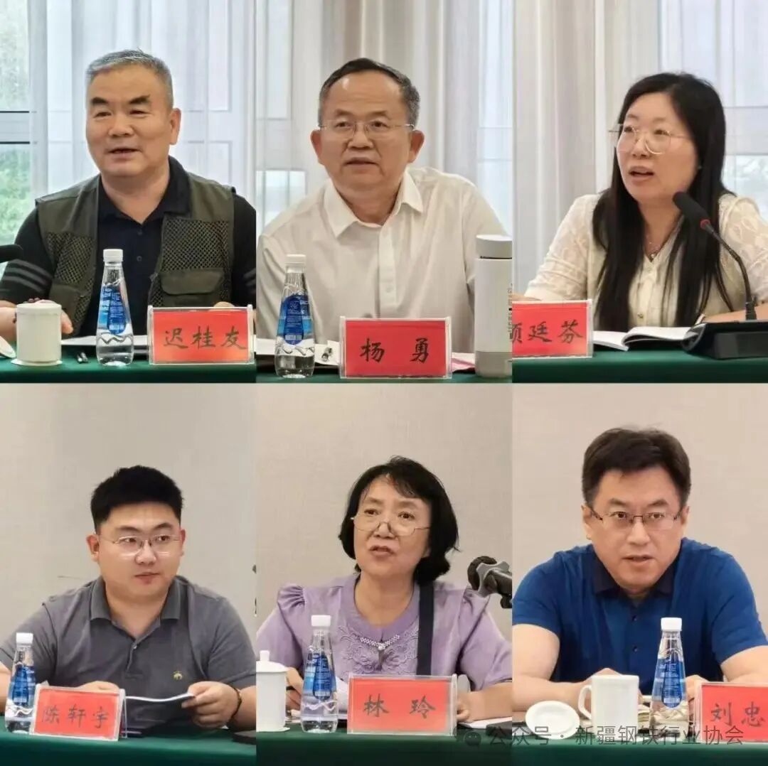 2025年地方钢铁行业协会负责人座谈会在青岛召开(图7)