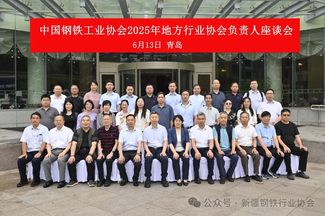 2025年地方钢铁行业协会负责人座谈会在青岛召开(图10)
