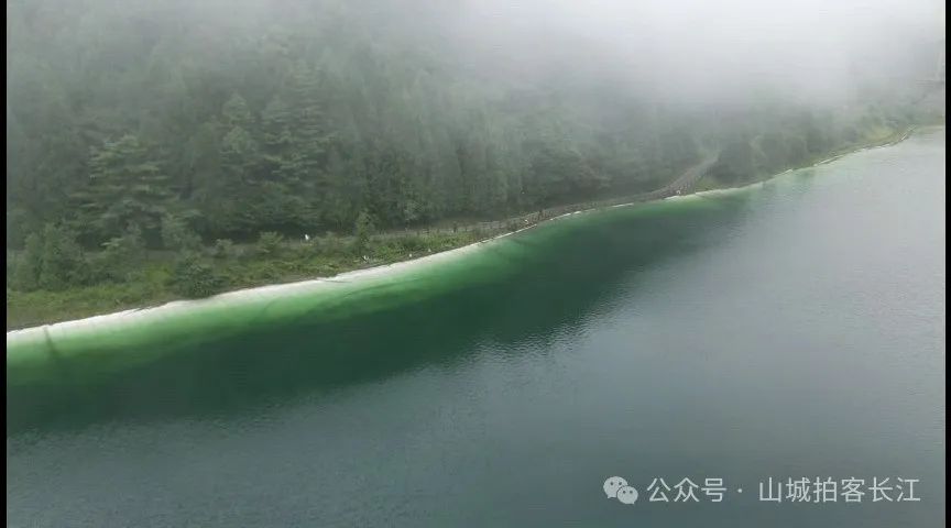 重庆到武陵山多少公里