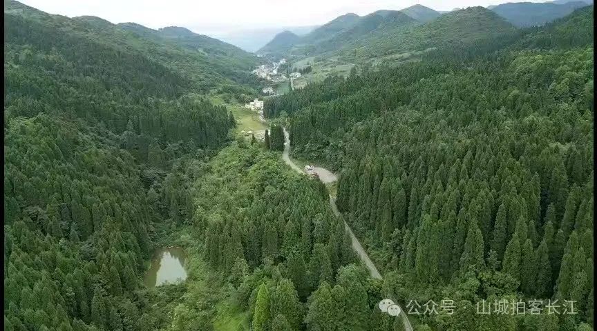 重庆到武陵山多少公里