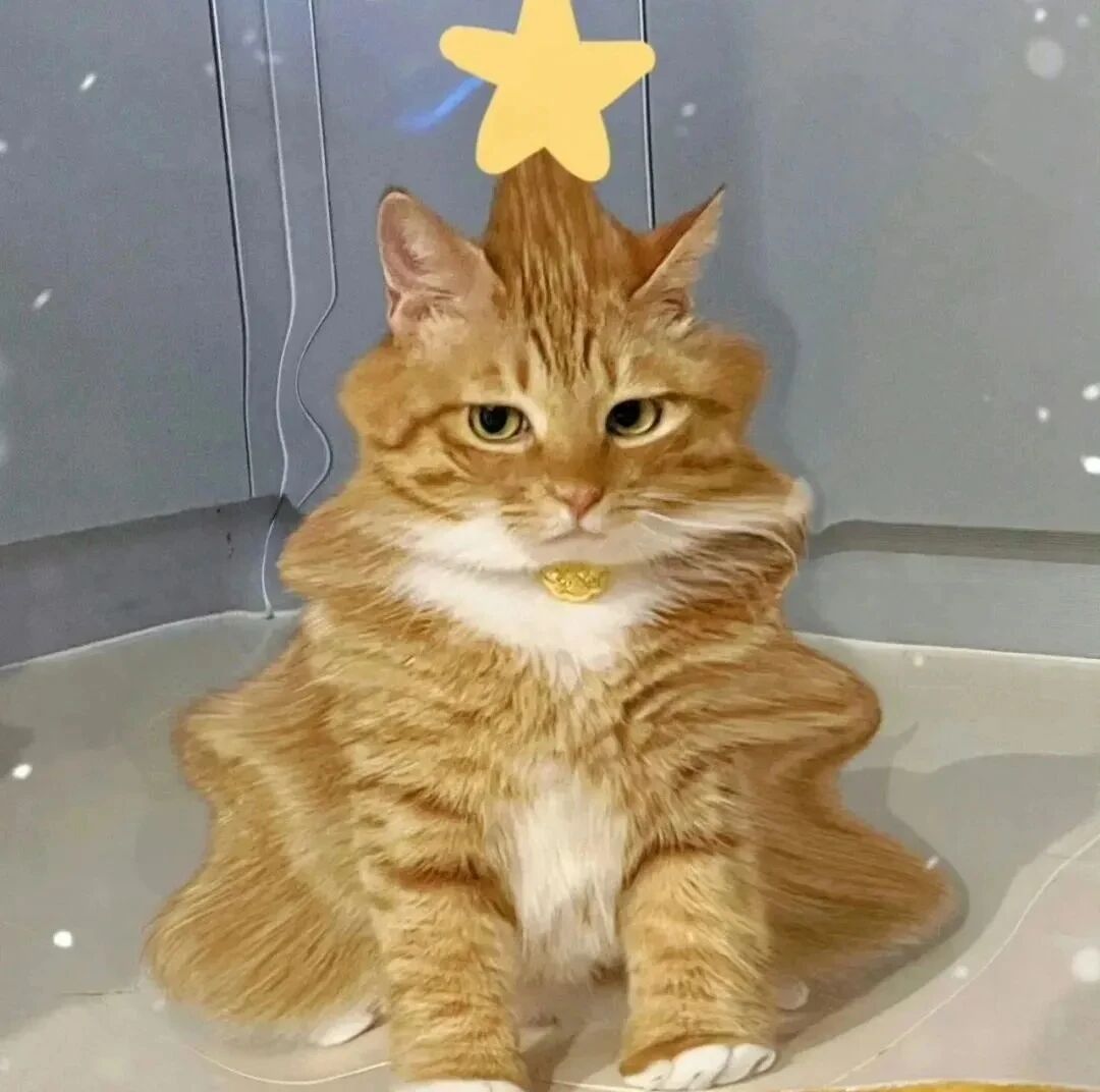 圣诞节猫咪萌宠头像