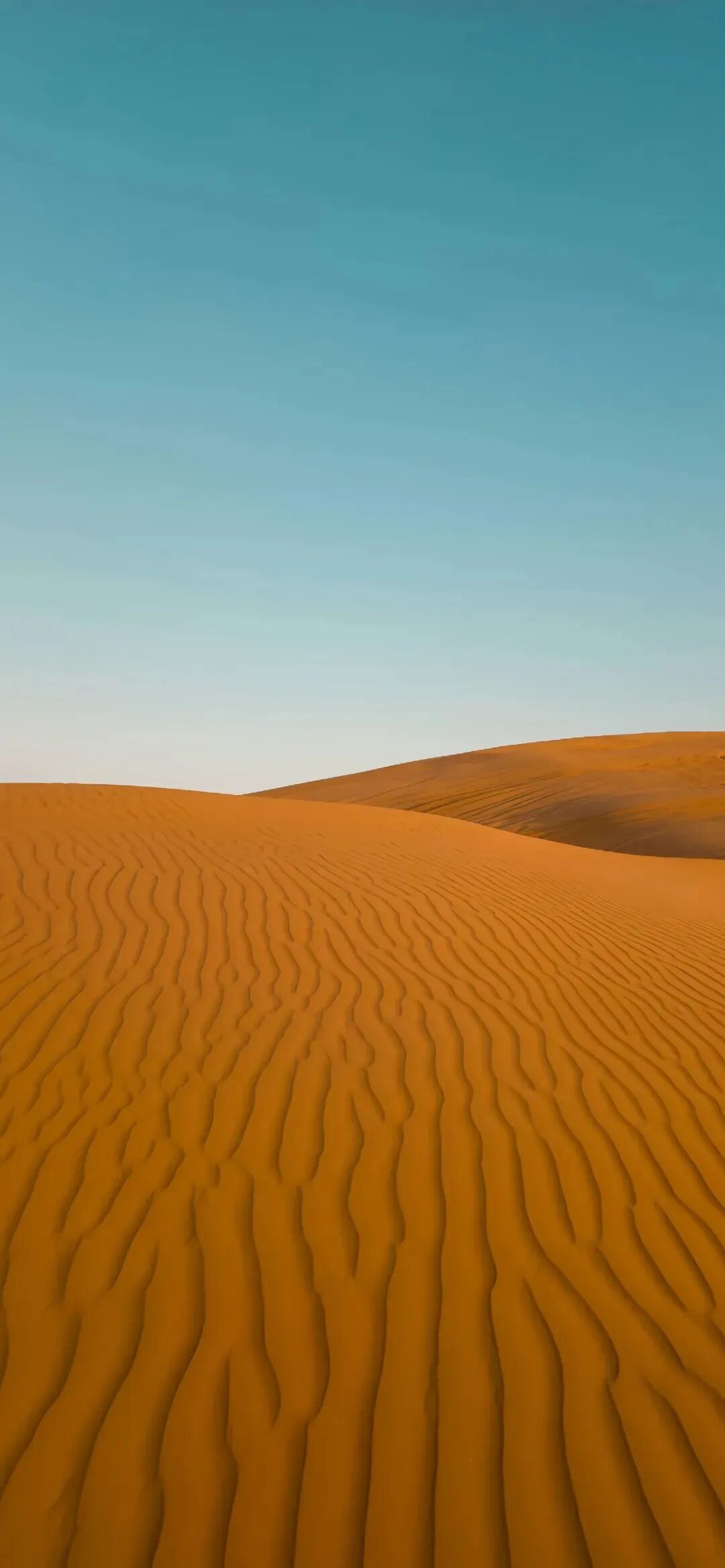 风景