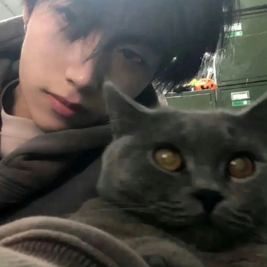 抱着猫咪帅气男生头像