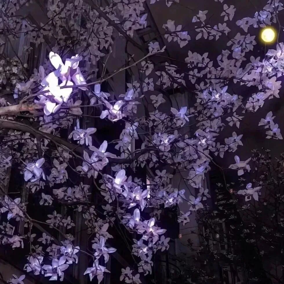 意境紫色朋友圈背景图