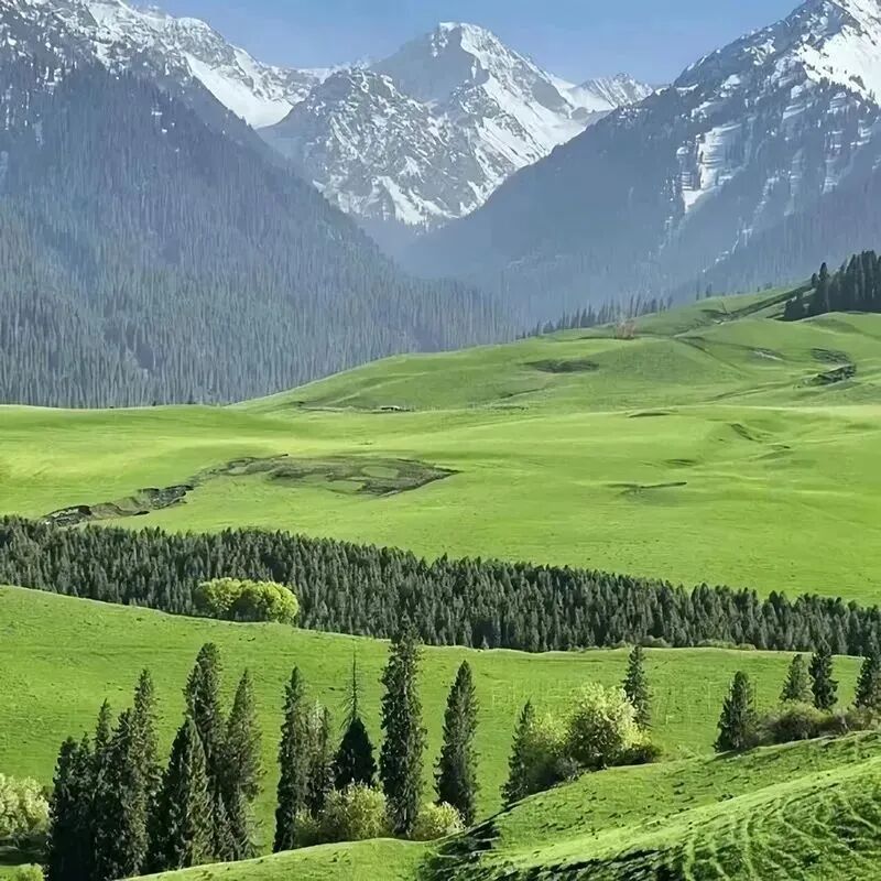 春天高山朋友圈背景图