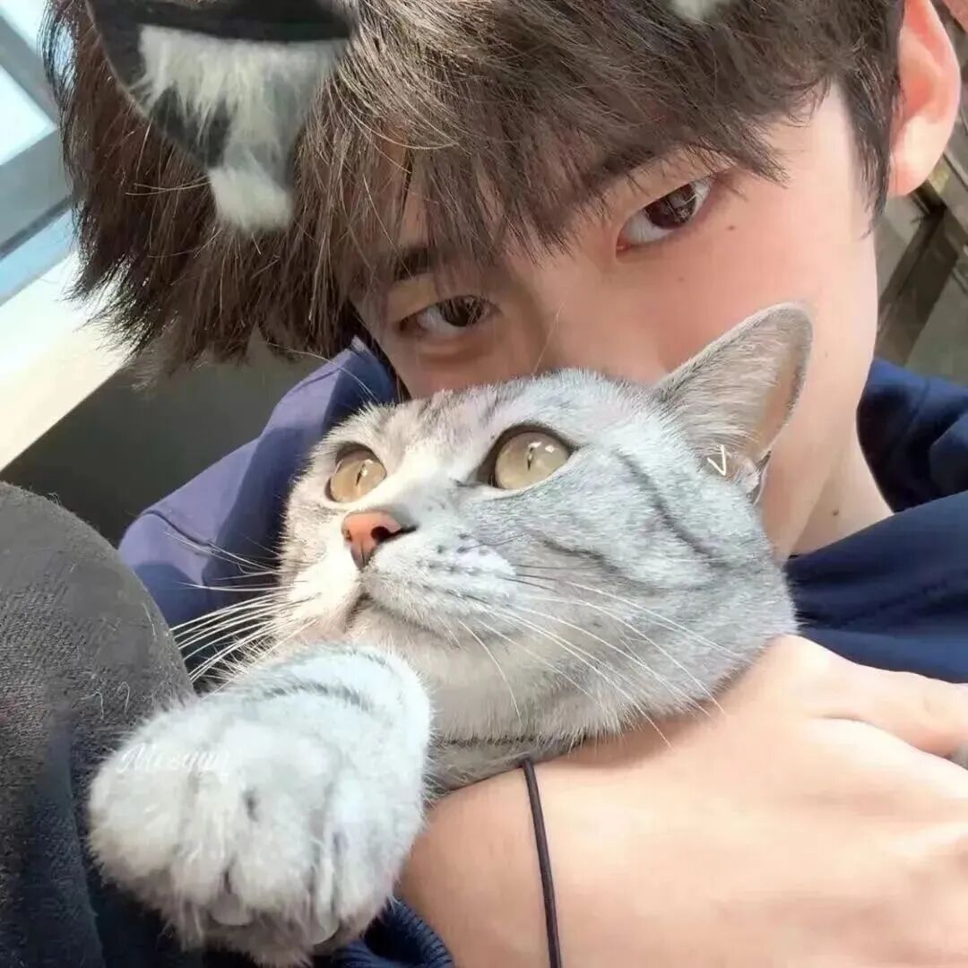 抱着猫咪帅气男生头像