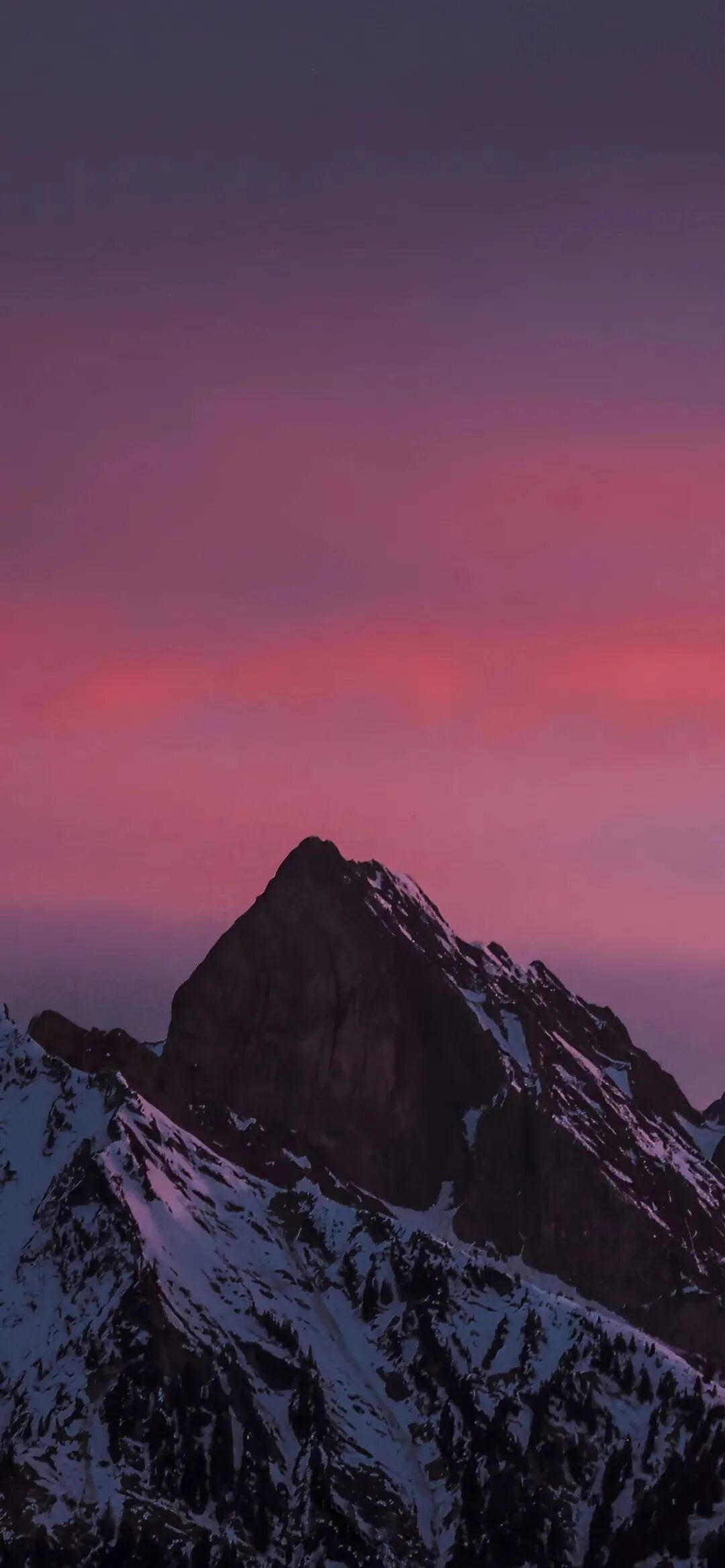 风景