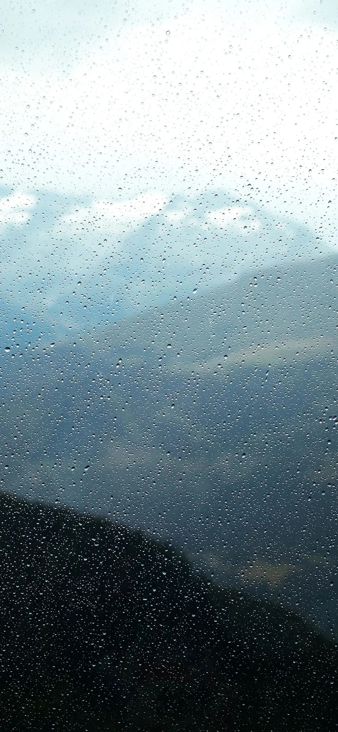 风景