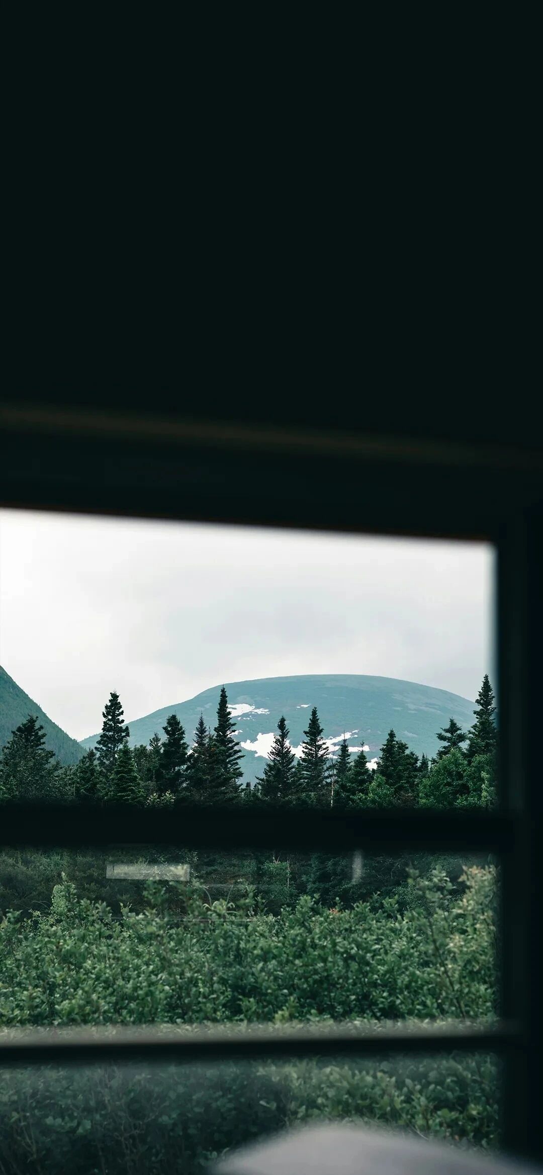 风景