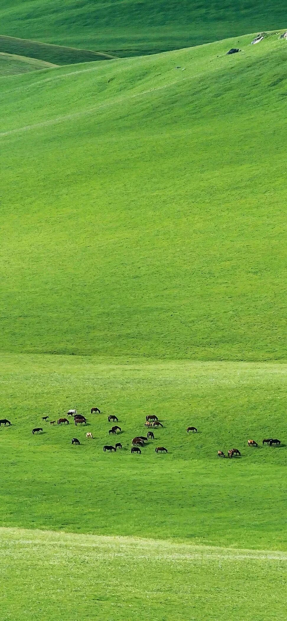 风景