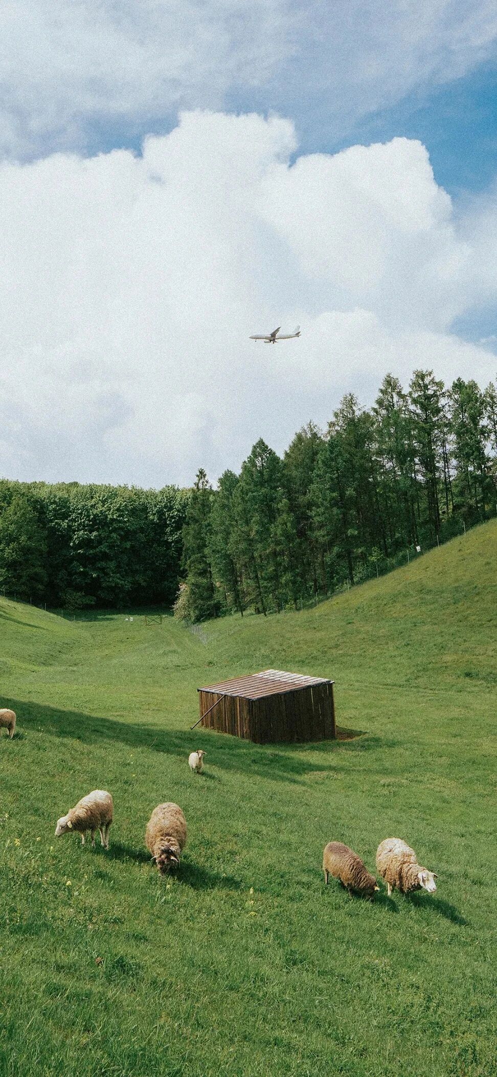 风景