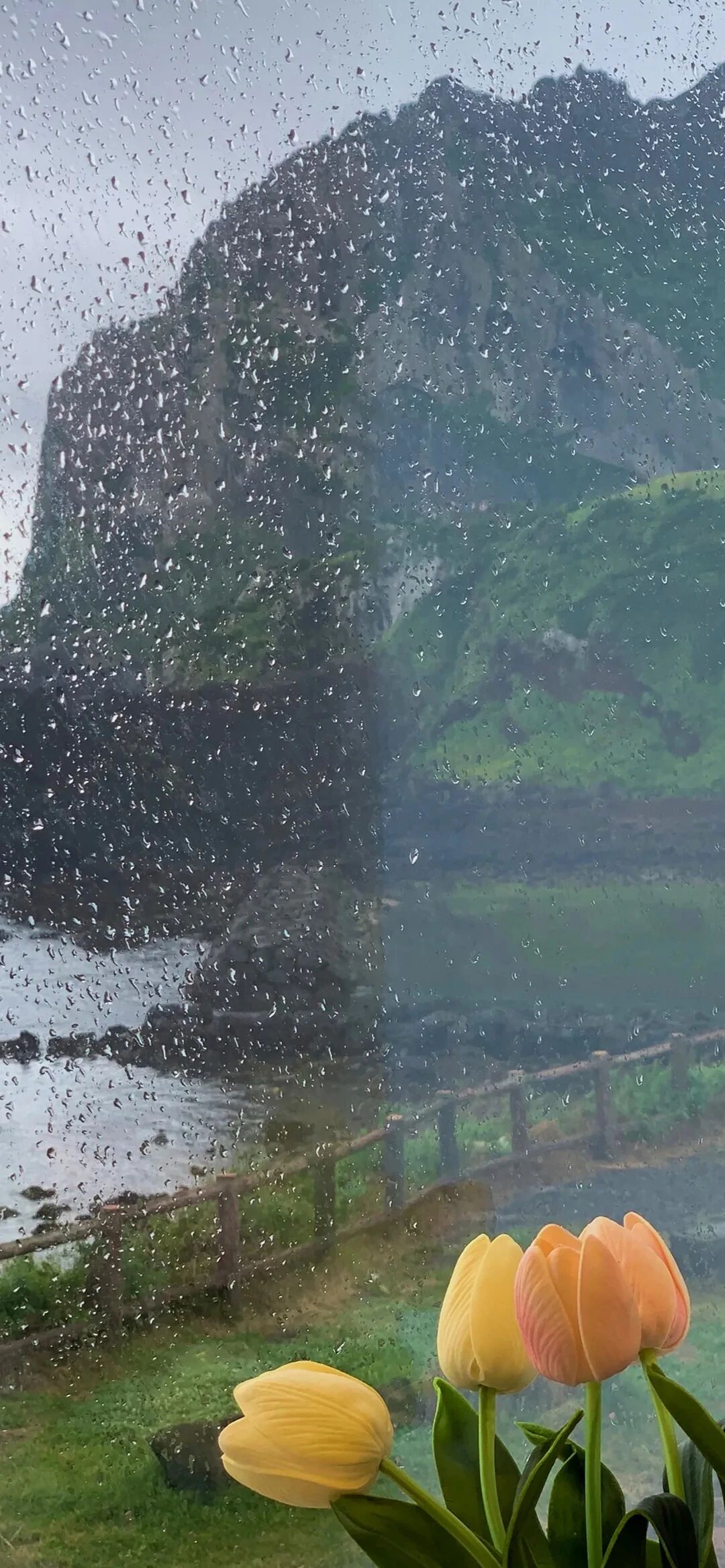 风景