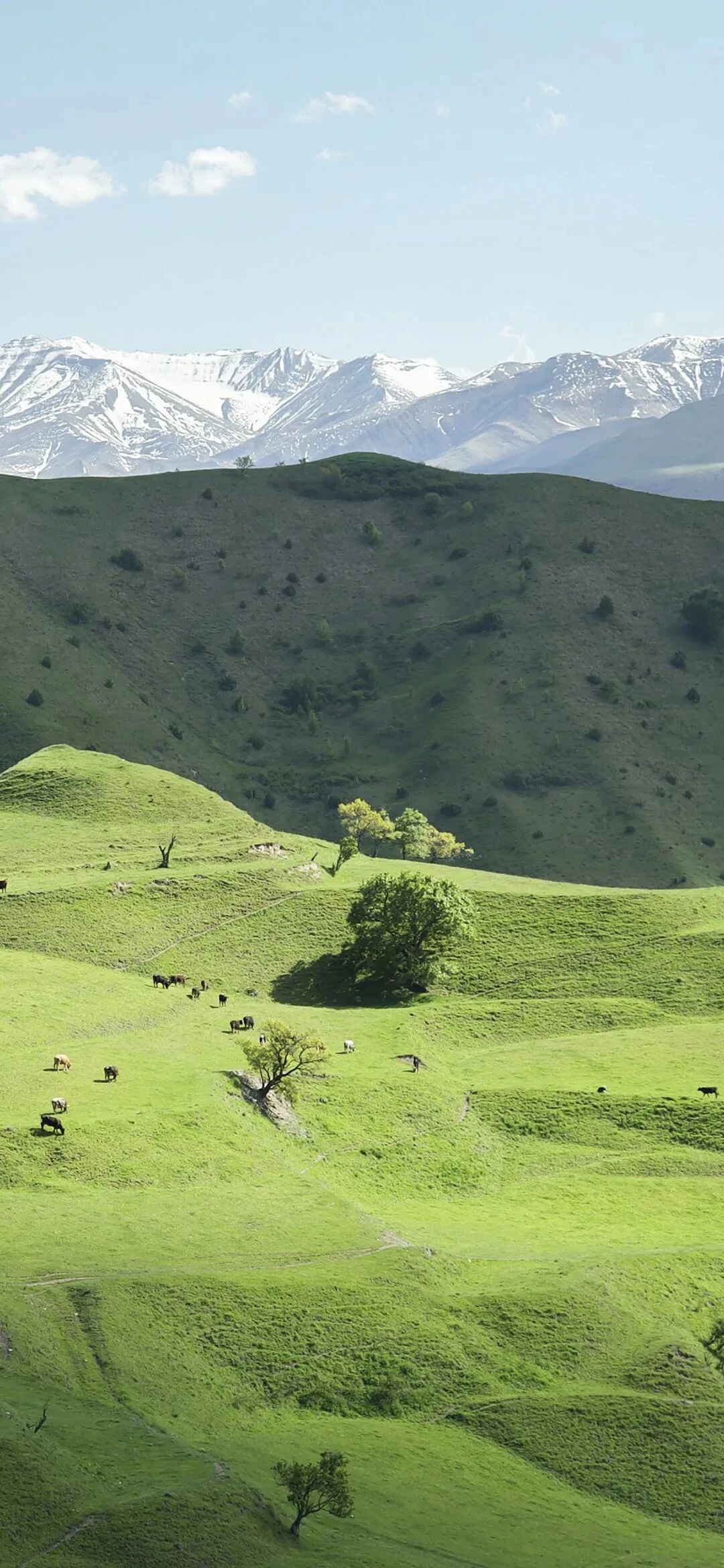 风景