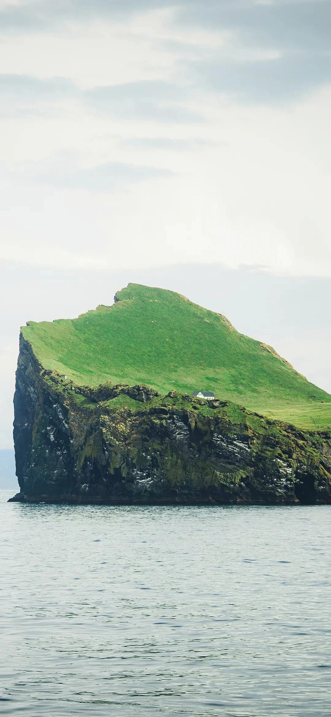 风景