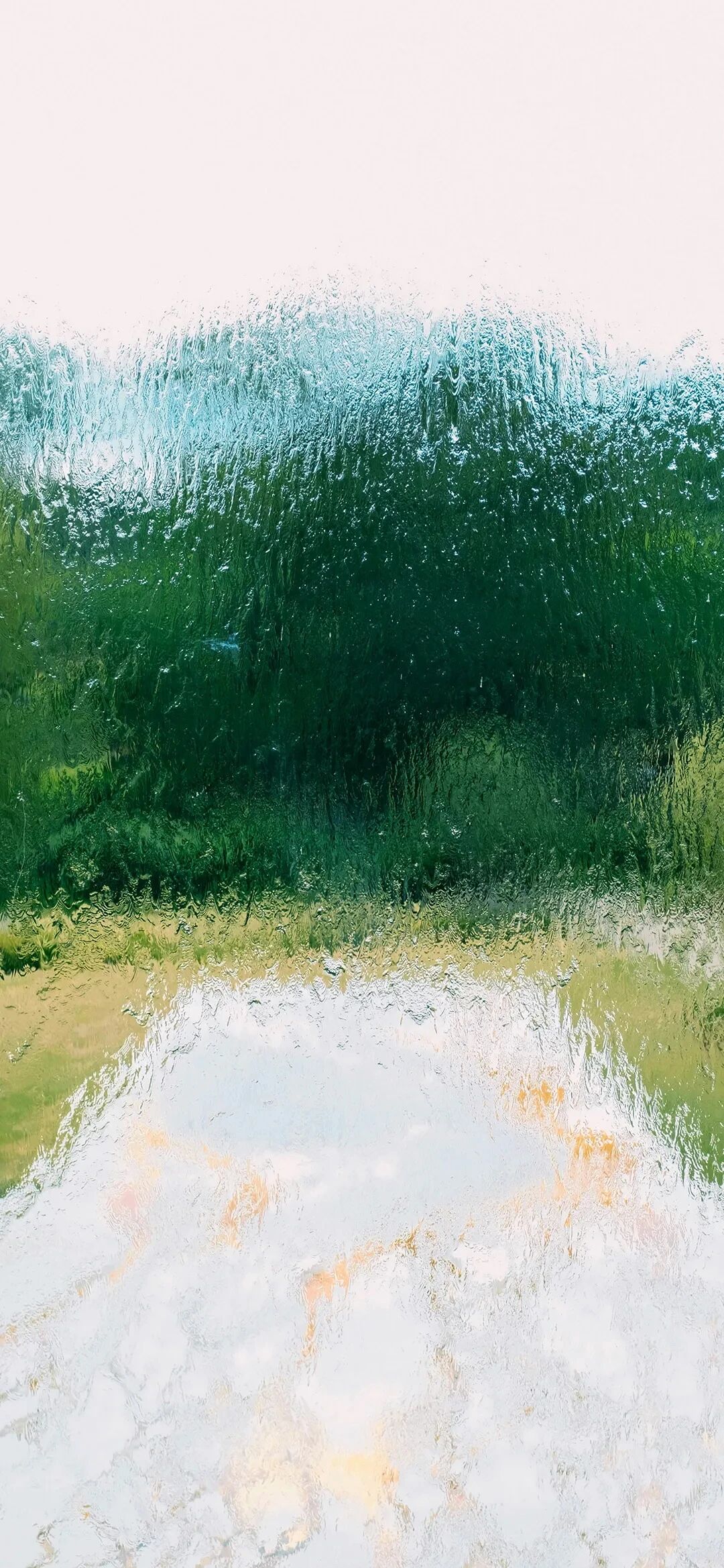 风景