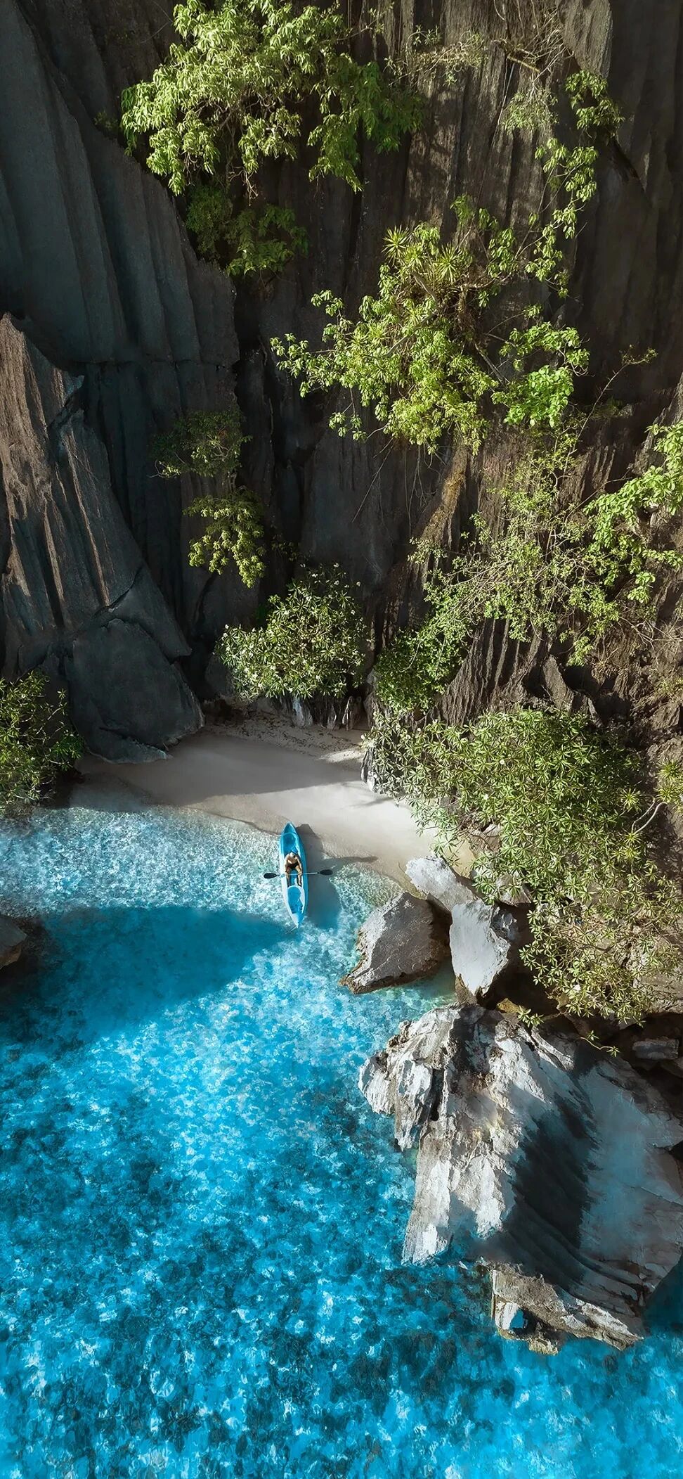 风景